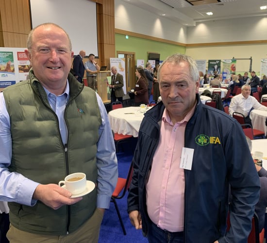 Calls made to improve the provision of poultry education across Ireland