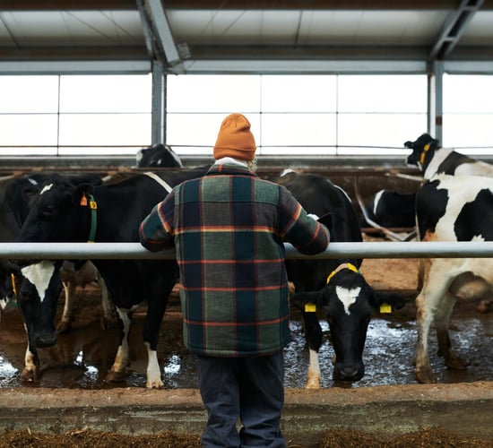 Watch: Supermarket milk prices - 'if we lose the farmer, we're lost'