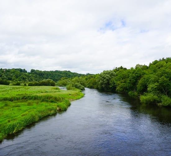 Govt publishes draft 6th NAP and wants feedback from farmers