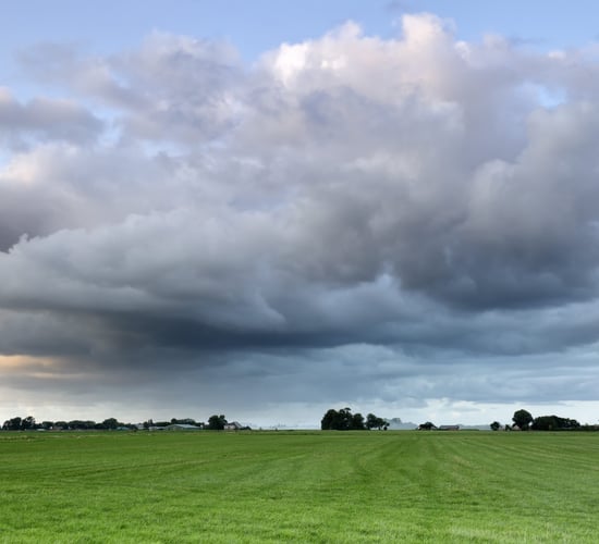 CSO: 57,212 acres of agricultural land sold in 2024, down 8.9%