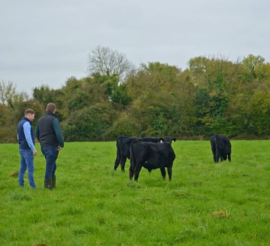 Watch: Managing a self-build and buying calves with no up-front payment