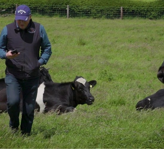 'The best investment I’ve made on the farm' - Galway farmer