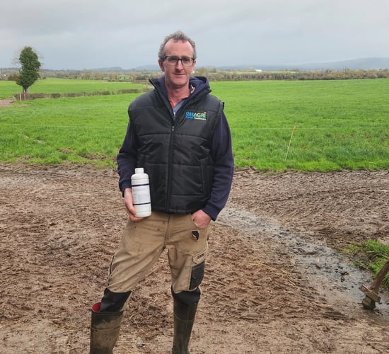 How Limerick dairy farmers found a winning formula for nailing mastitis &amp; SCC