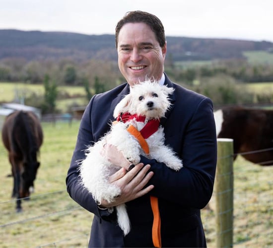 Views sought on new DAFM animal welfare strategy