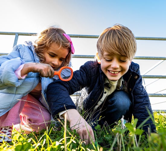 Airfield open farm continuing legacy of community nurturing