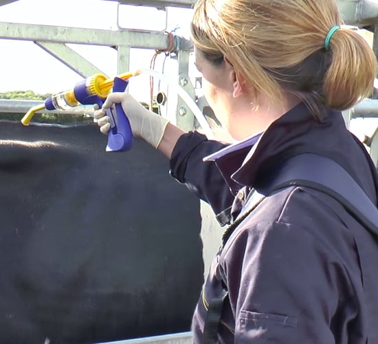 Agriland and Boehringer Ingelheim launch series on smarter parasite control