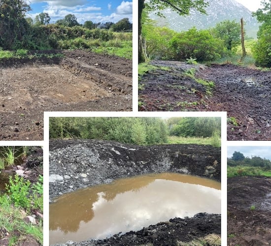 The Hare's Corner benefits from €20,000 sustainability partnership