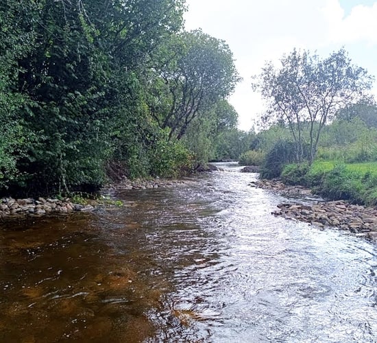 IFI to provide over €1m for river restoration projects in 2026
