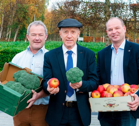 Horticulture innovation schemes for 2026 launched