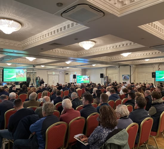 Teagasc National Beef Conference set for Athenry on November 18