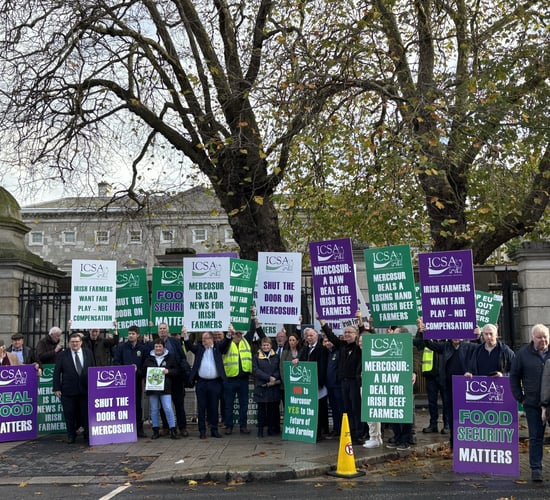 Watch: Farmers protest at Leinster House against Mercosur deal