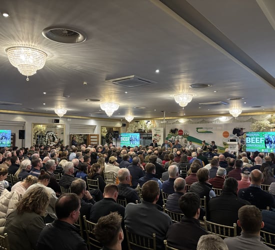 Applause at beef conference for suckler farmers who 'stayed at it'