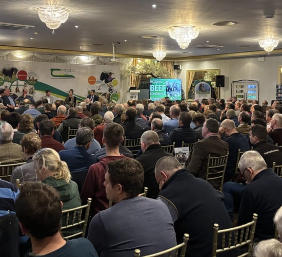 Beef conference: Weanlings, markets, succession and tax planning