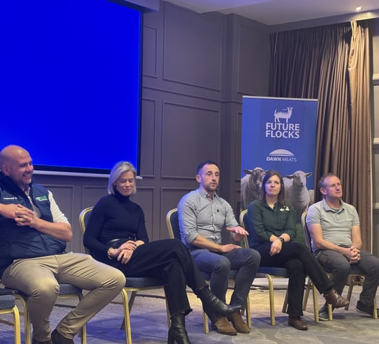 Positive soundings on lamb prices at Dawn Meats supplier event