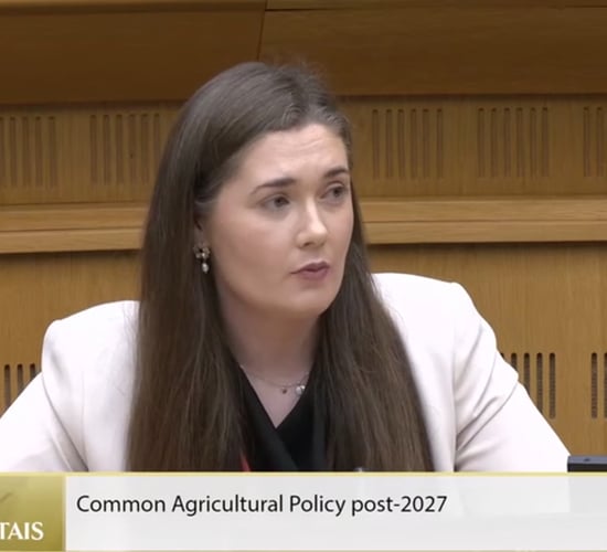 Watch: LEADER funding uncertainty a 'significant blow' for young people