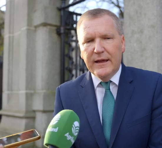 Watch: McGrath backs 'credibility' of Ireland's NAP process