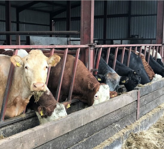 Deadline for NGP participants to return samples nears