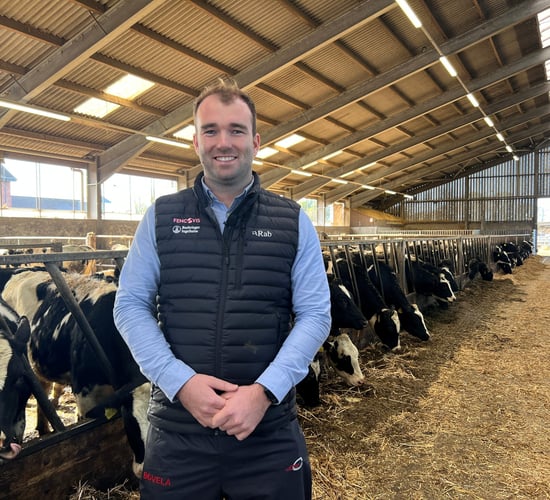 Top tips: How to apply pour-on wormers correctly