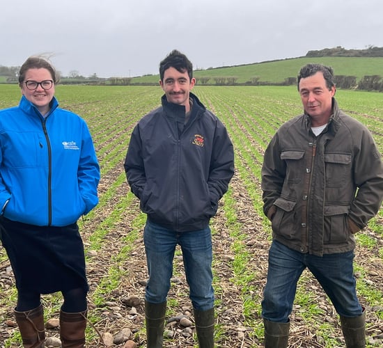 Farm Focus: Turning soil data into action on the Ards Peninsula