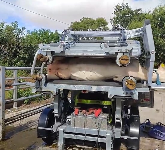 Tackling lameness the practical way: Two farmers share their stories