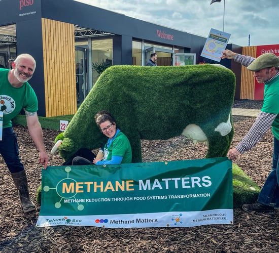 'National strategy’ needed to climate-proof food system - Talamh Beo