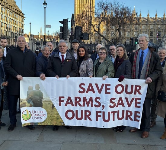NI farmers visit Westminster to demand changes to inheritance tax proposals