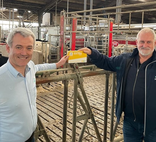 AHV awarded patent for quorum sensing inhibition technology in animal health