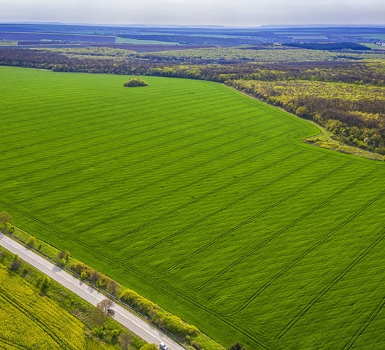 Minister anxious to get land use review published 'before Christmas'