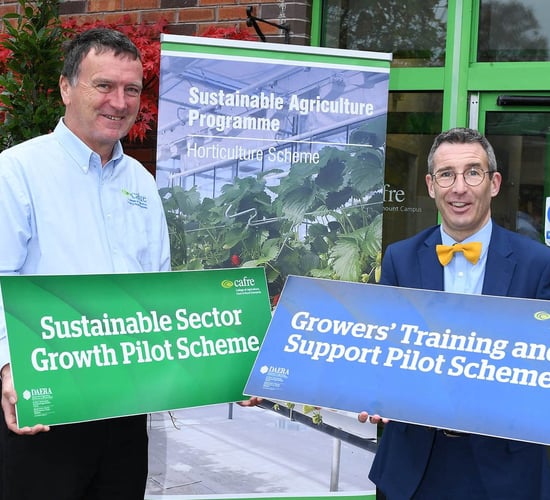 DAERA encourages growers to apply for NI Horticulture Pilot Scheme