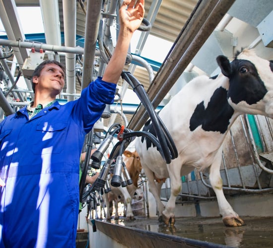 GDT falls again with butter recording the biggest slip