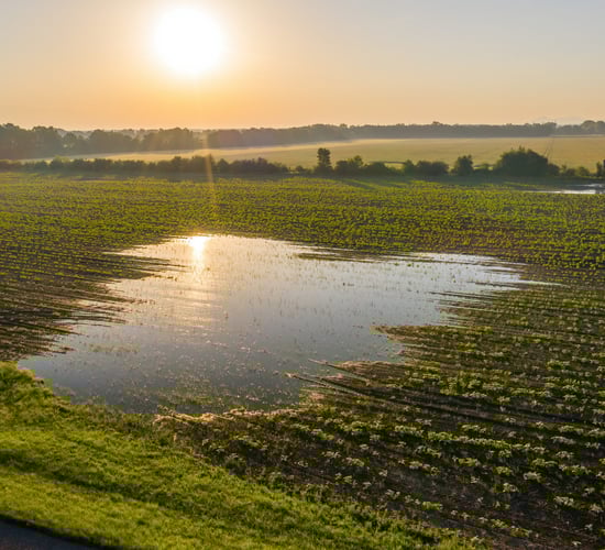 Reducing chemical nitrogen use identified as an 'action' to fight climate change