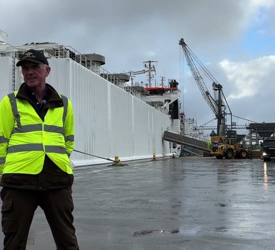 Shipping 1,600 cows from Waterford to Algeria