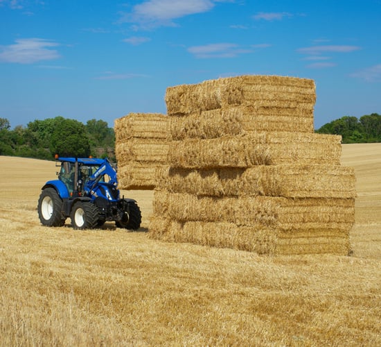Are farmers equipped with enough straw for the winter season?