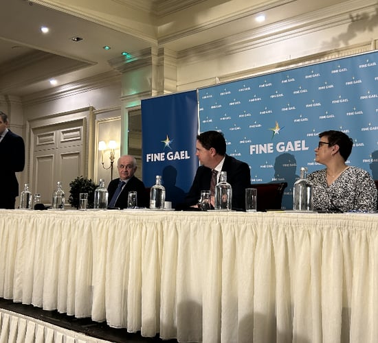 Tánaiste: Environmental regulations have 'gone far too complex'