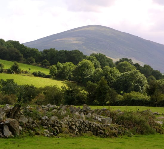 Carlow event to focus on farming in the Blackstairs Mountains