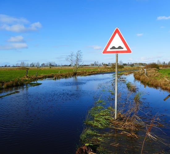 Flooding in south Roscommon causing alarm for farmers