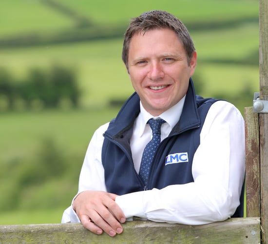 Market access a priority in light of bluetongue - LMC