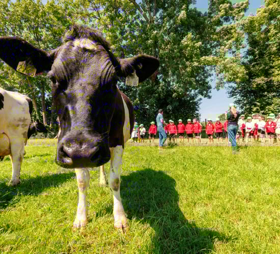 NDC Farmer Ambassador Series: 'We take for granted that the public knows about farming'