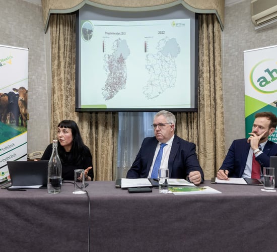 AHI hopeful compensation rates for BVD positive calves can rise