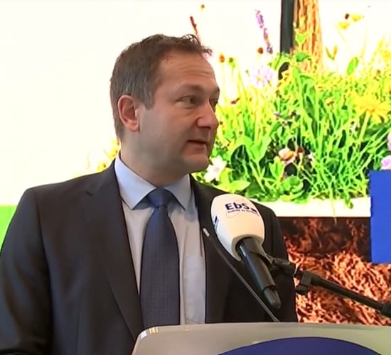 Hansen on Mercosur: One solution will not suit every member state