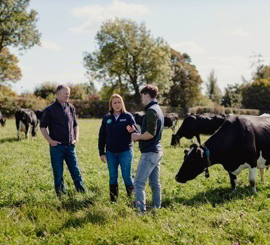 Irish dairy’s green advantage