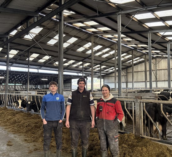 Listen: How a Waterford farmer is maintaining a sub 60 SCC