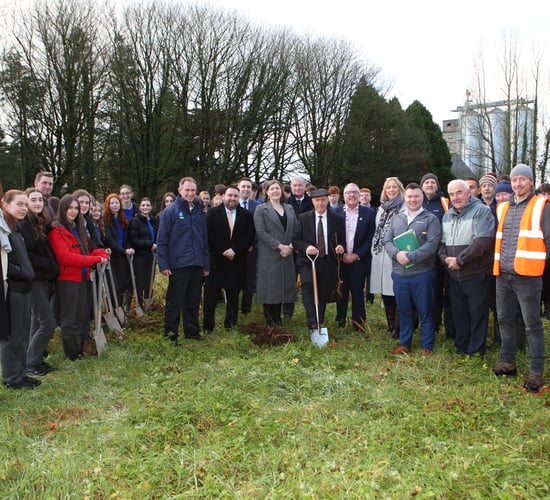 'Every site has potential' for planting trees - Healy-Rae