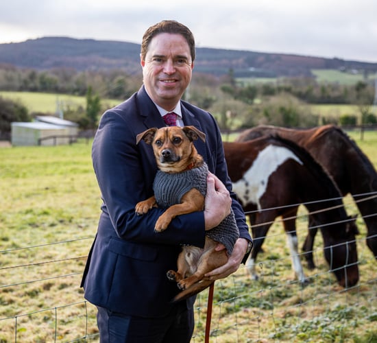 €6.4m announced for 94 animal welfare charities around the country