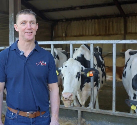 Watch: Award-winning Hallow Holsteins herd and its 'unbelievable year'