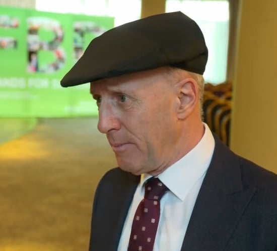 Forestry windblow reconstitution scheme to be announced soon