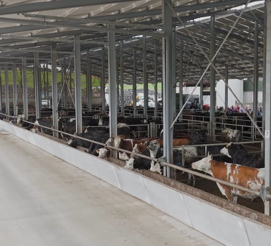 Rural focus revisit: 'State-of-the-art' beef farm in Cavan