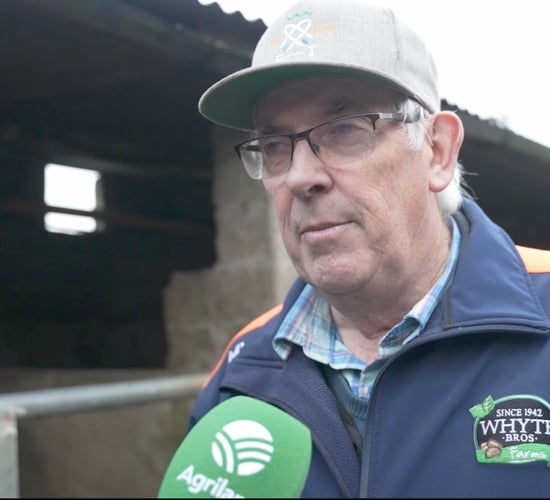 Looking back at 2025 and Christmas plans