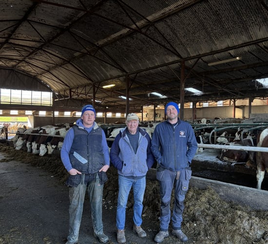 Listen: Montbéliarde herd producing 557kg/MS in Co. Wicklow