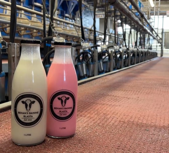 Kerry family supplying more than just the co-op